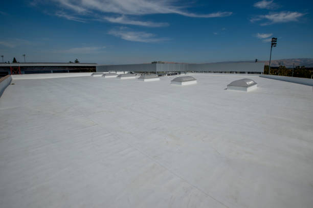 Best Steel Roofing  in Pinebluff, NC